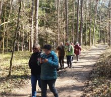 Wanderung "Perspektivenwechsel"